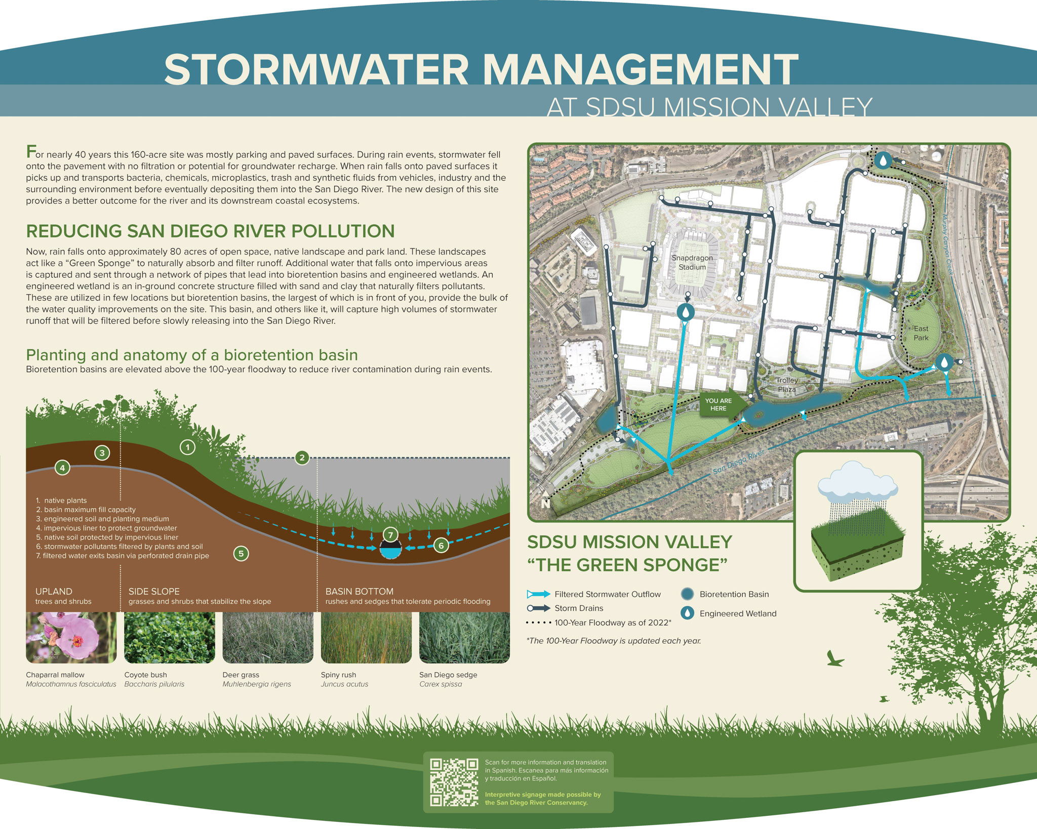 Storm Water Management in Corpus Christi